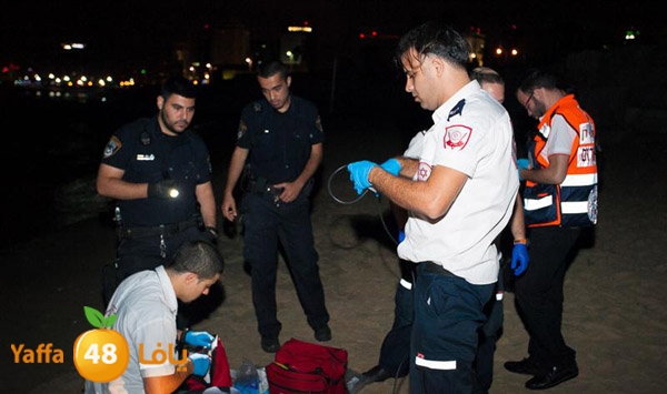 3aregmontreeh520 (3).jpg